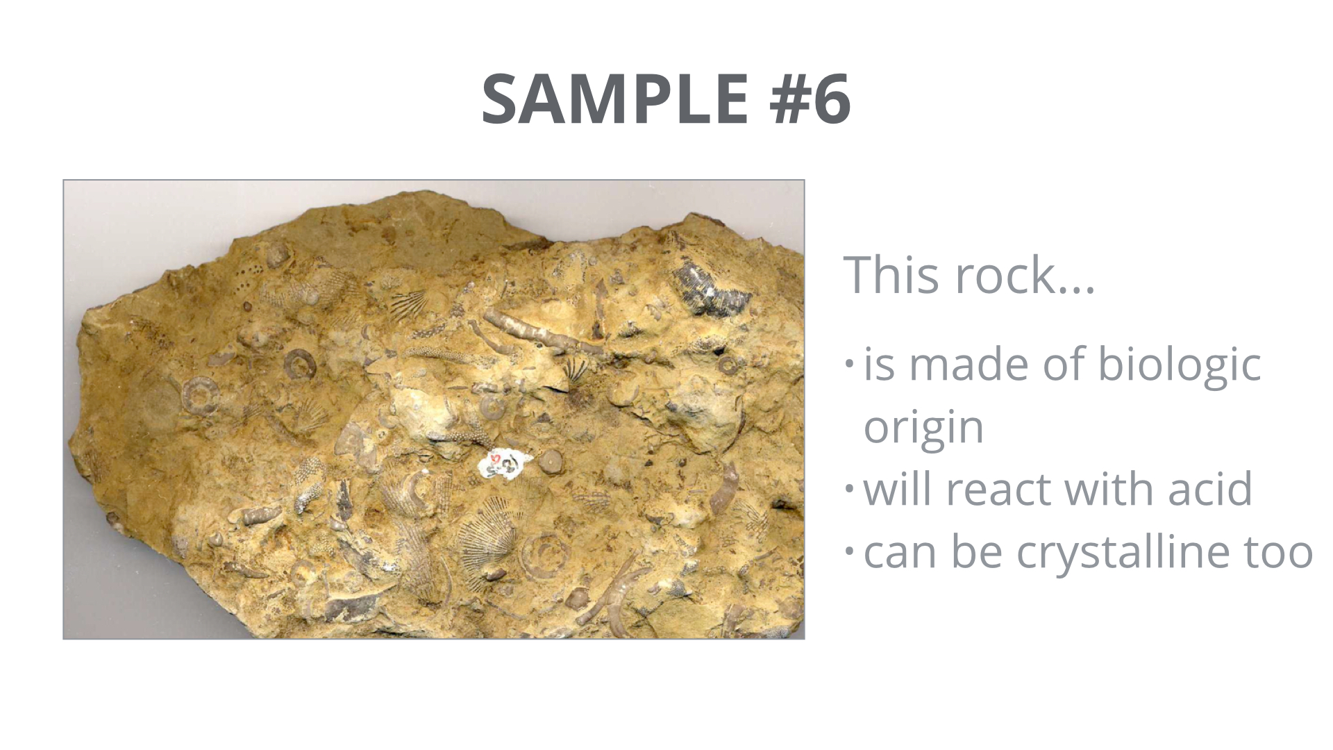 Regents Earth Science At Hommocks Middle School: Sedimentary Rocks